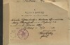 3. soap-kt_01159_census-1910-stepanovice-vicenice-cp001_0030