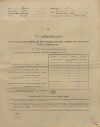 1. soap-kt_01159_census-1910-mestiste-cp020_0010