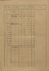 13. soap-kt_01159_census-sum-1921-stachy_0130