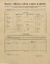 4. soap-pj_00302_census-1910-klousov-cp019_0040
