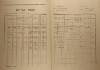 2. soap-ro_00002_census-1921-mokrouse-cp021_0020